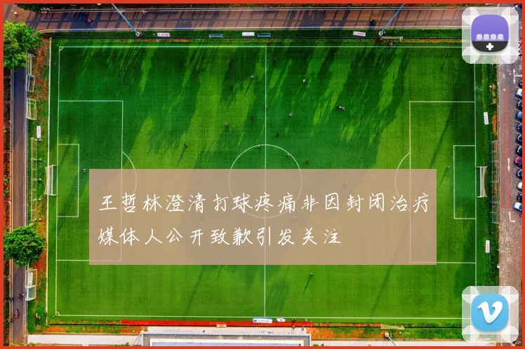 王哲林澄清打球疼痛非因封闭治疗媒体人公开致歉引发关注