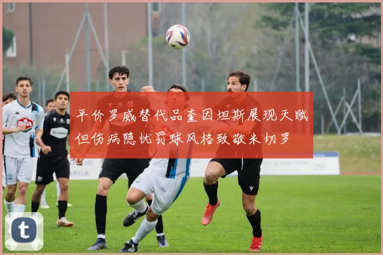 平价罗威替代品奎因坦斯展现天赋但伤病隐忧罚球风格致敬米切罗