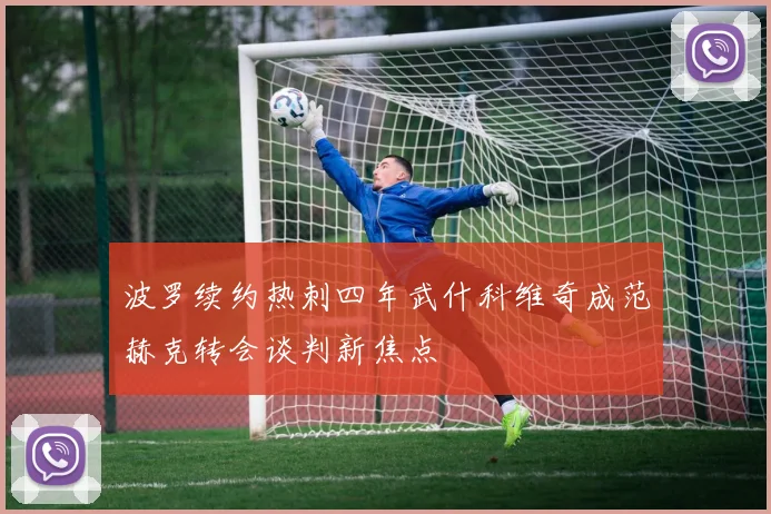 波罗续约热刺四年武什科维奇成范赫克转会谈判新焦点