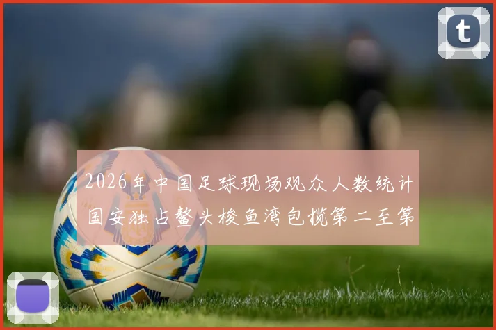2026年中国足球现场观众人数统计国安独占鳌头梭鱼湾包揽第二至第七位